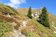 Anello dei MONTI ARETE (2227 m) e VALEGINO (2415 m) da Cambrembo di Valleve il 14 ottobre 2018 - FOTOGALLERY
